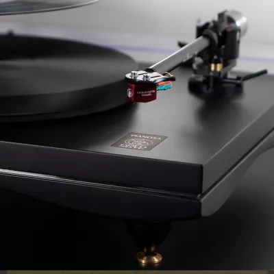 Gold Note Platine Vinyle Pianosa + Cellule Vasari Shibata